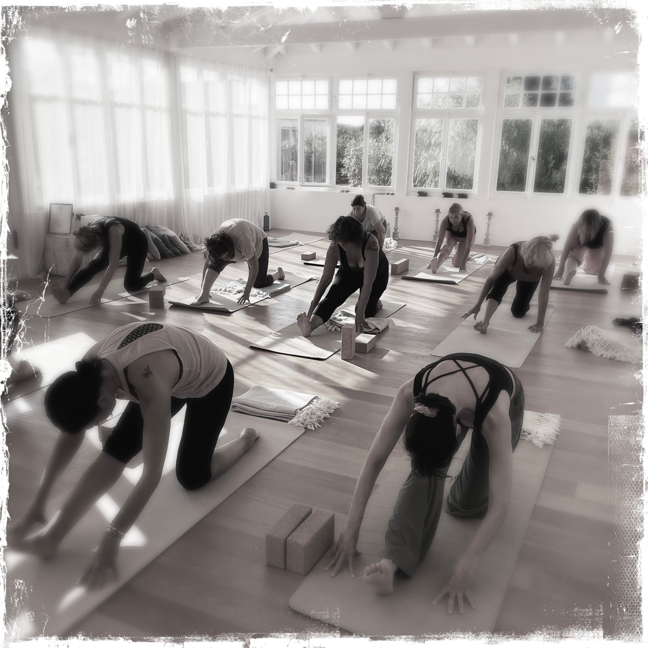 Gemeinsames Training in der Gruppe