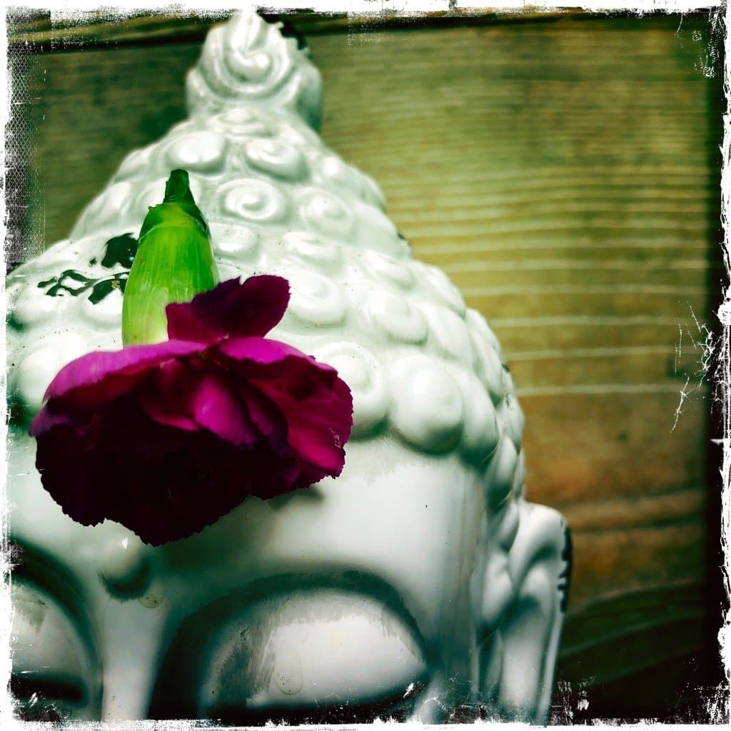 Buddha mit Blume — Achtsamkeit im Studio