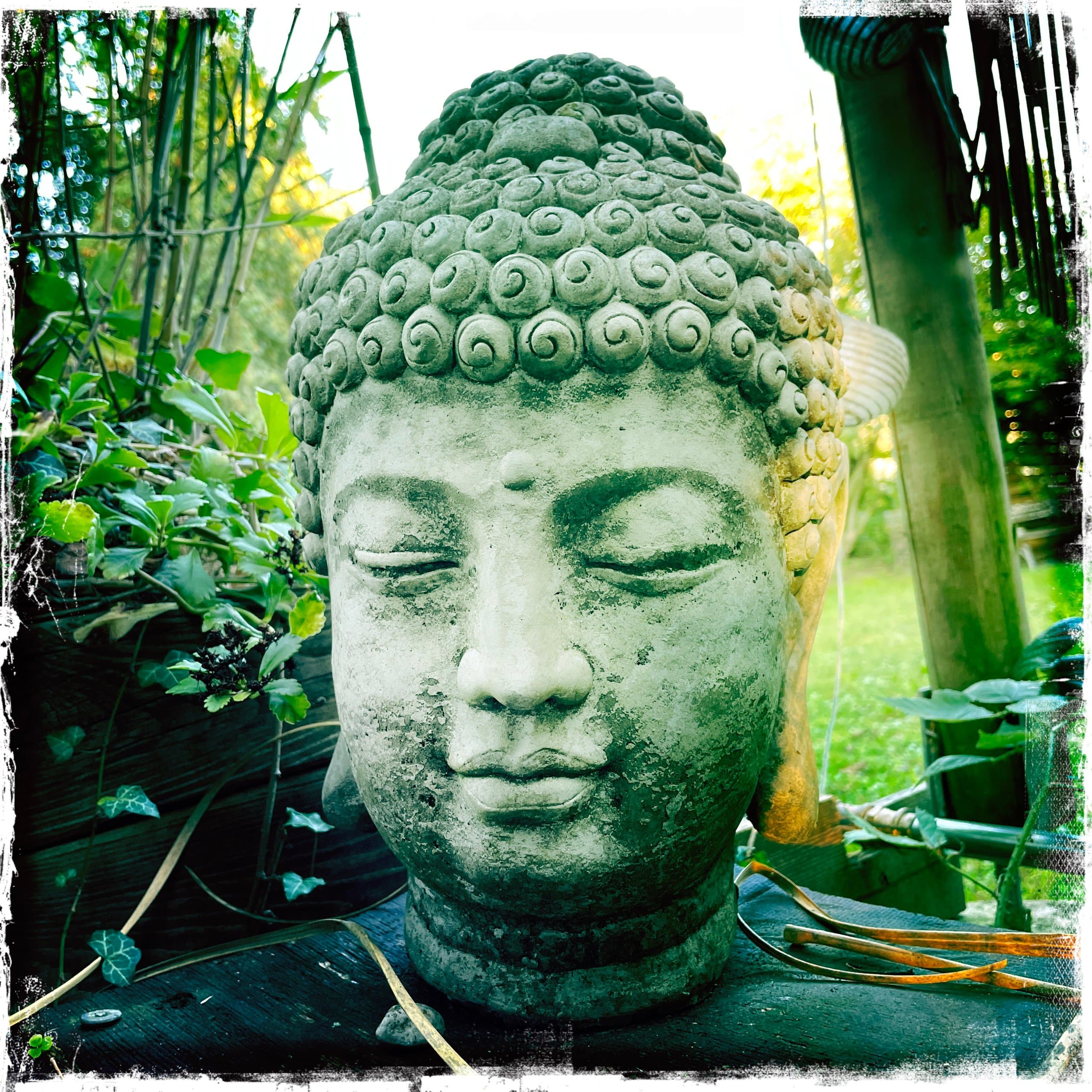 Buddha im Garten — Ruhe und Achtsamkeit